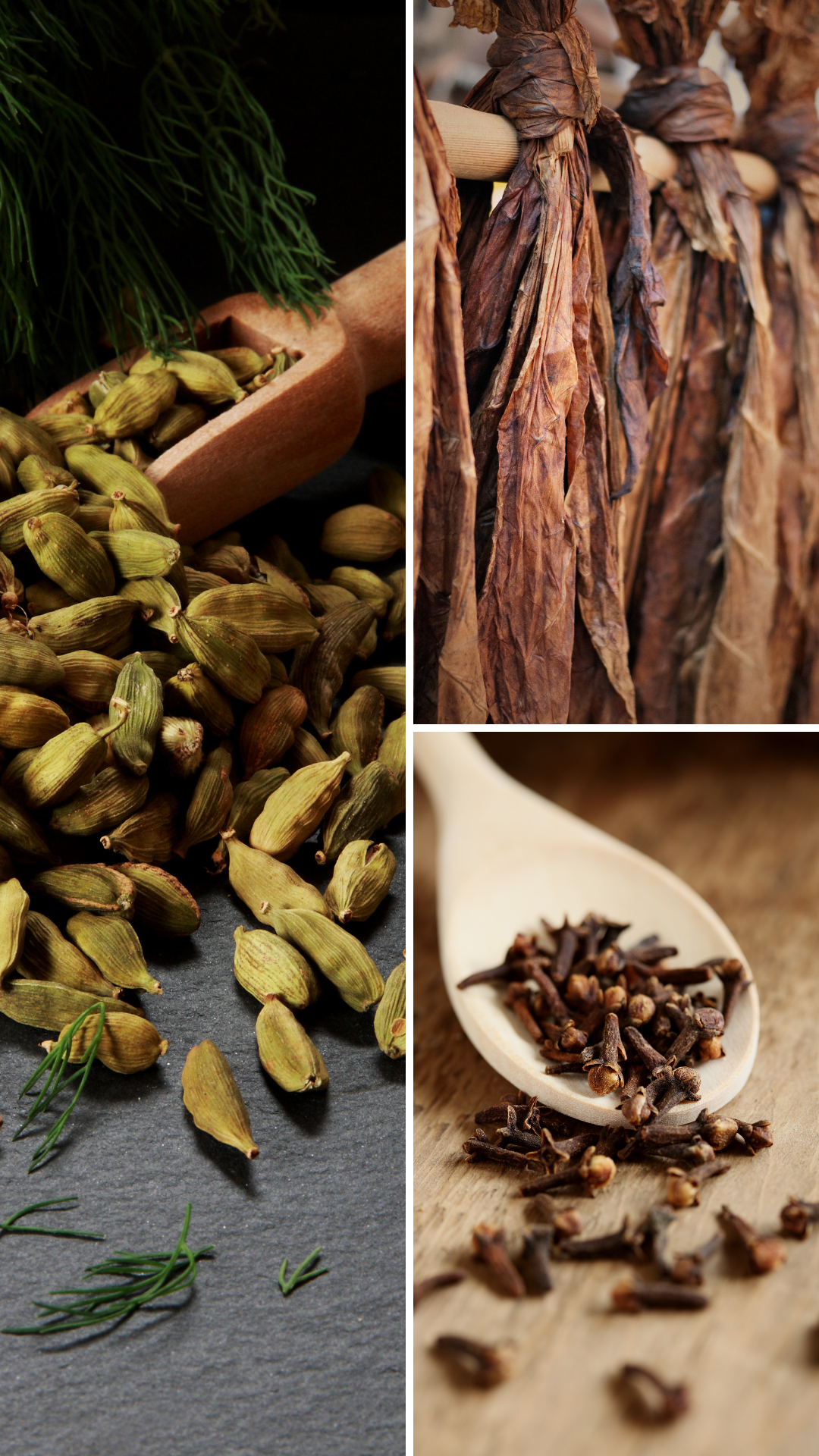 Amortentia | Bougie de soja avec mèche de bois