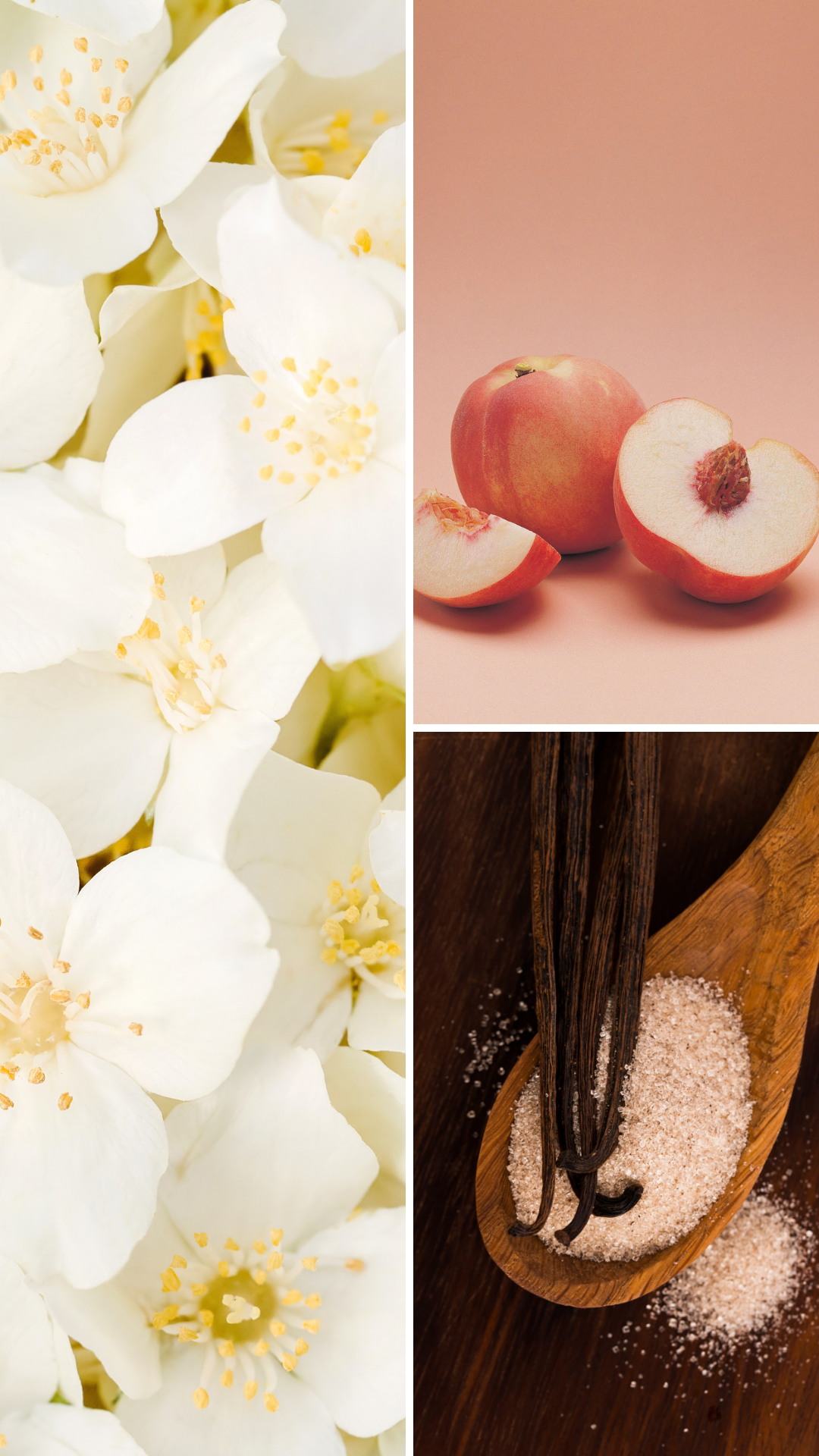 Week-end au chalet | Bougie de soja avec mèche de bois crépitante (50h)