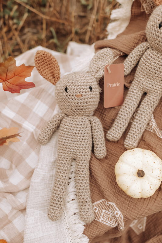 Poupée Léon et Léonie (Lapin)