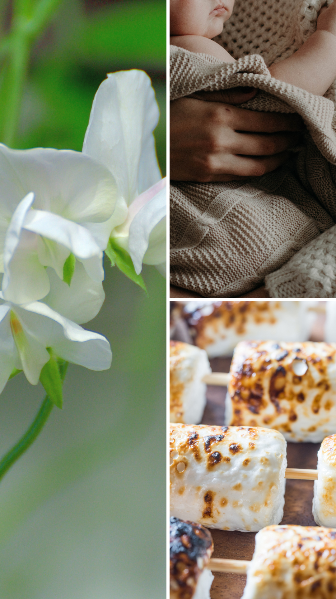 Pois de senteur et guimauve | Bougie de soja de avec mèche de bois (50h)