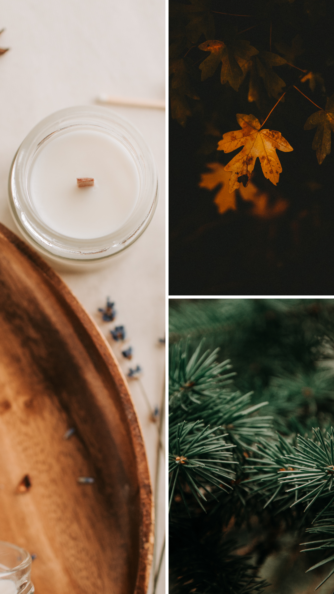 NOUVEAUTÉ | Veillée d'hiver boréale | Bougie de soja avec mèche de bois crépitante (50h)