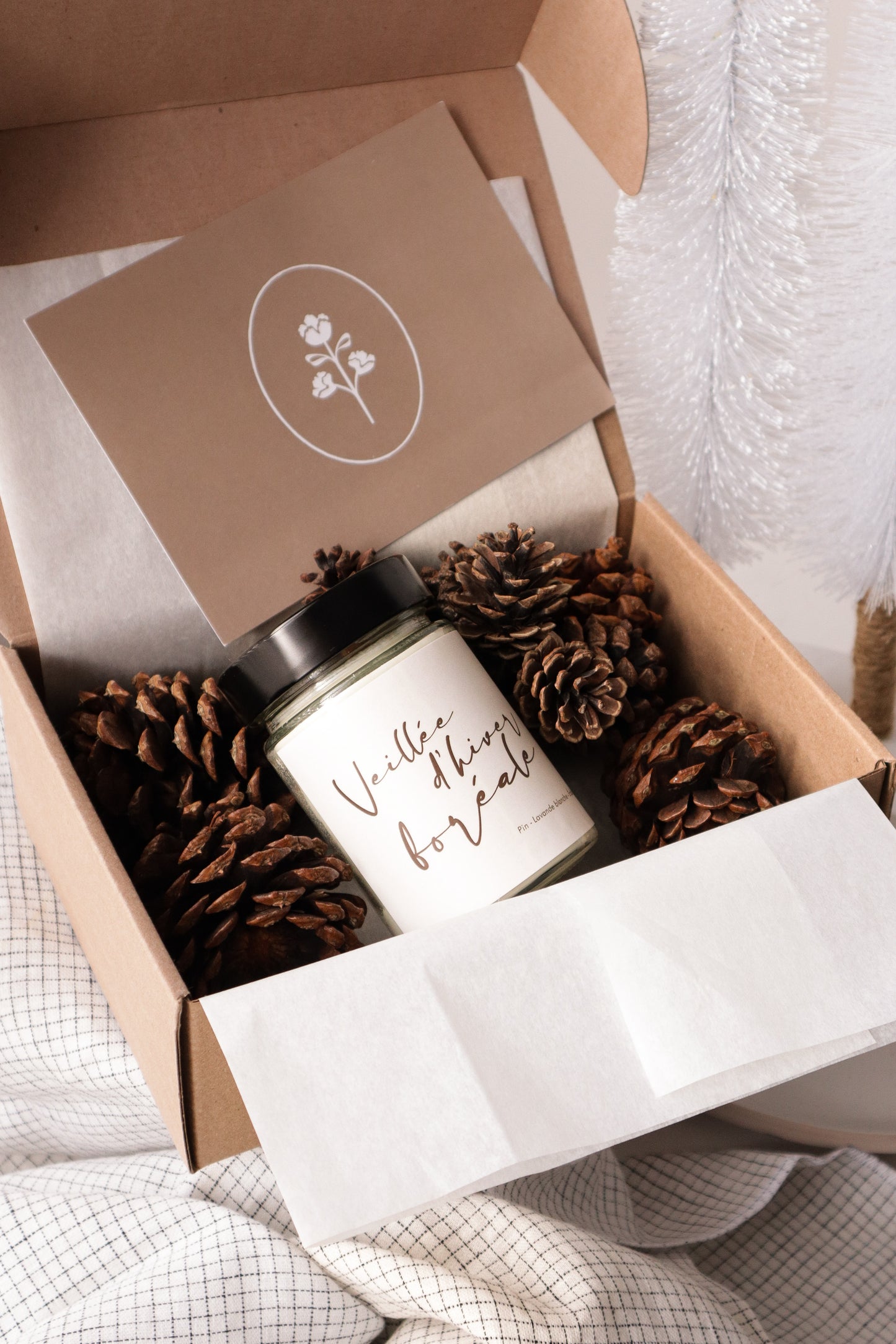 NOUVEAUTÉ | Veillée d'hiver boréale | Bougie de soja avec mèche de bois crépitante (50h)