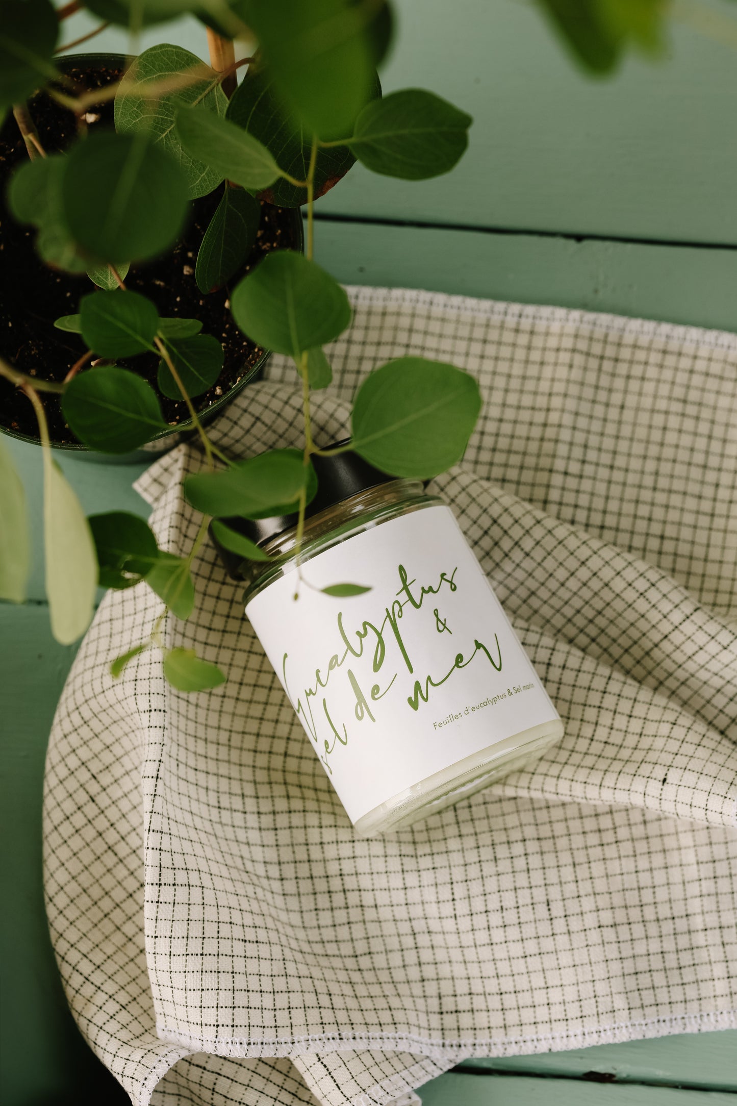 Bougie de soja avec mèche de bois | Eucalyptus & sel de mer