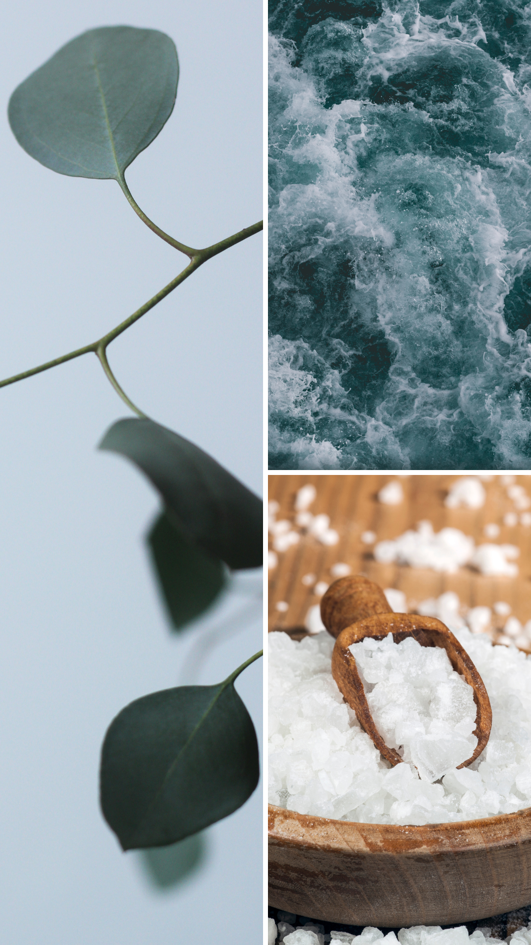 Bougie de soja avec mèche de bois | Eucalyptus & sel de mer